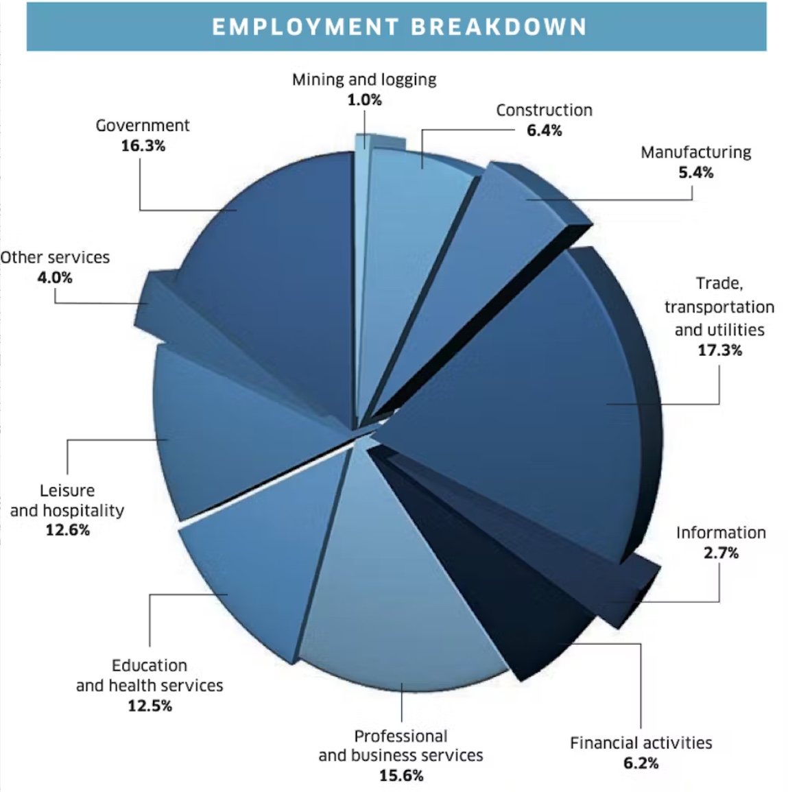 simple pie chart